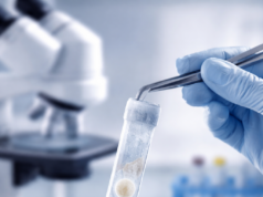 Криоконсервация ооцитов: современные возможности сохранения репродуктивного здоровья